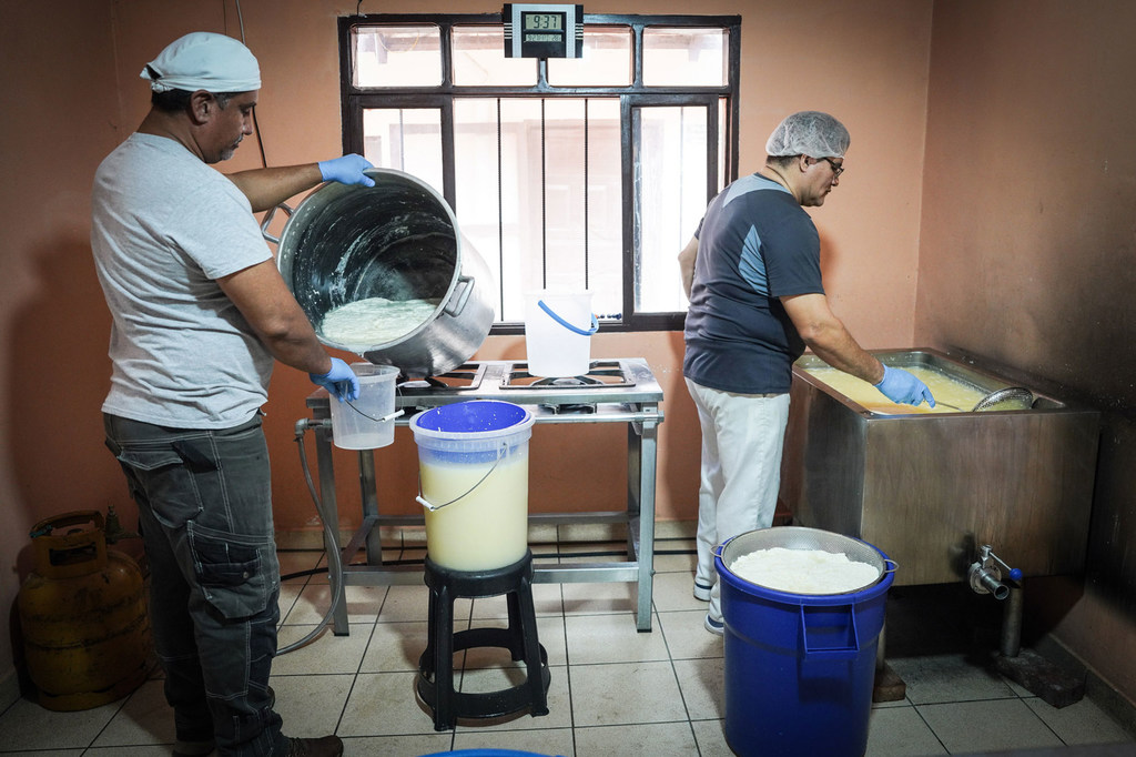 Fabricación de quesos.